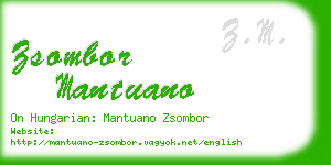 zsombor mantuano business card